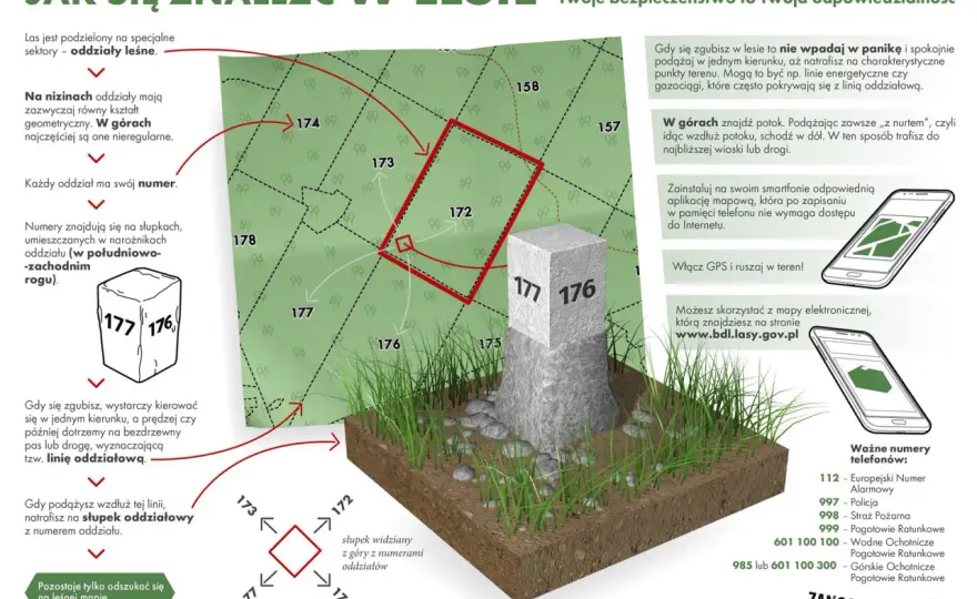 Jak legalnie biwakować w lesie? Mapa i zasady "Zanocuj w lesie"