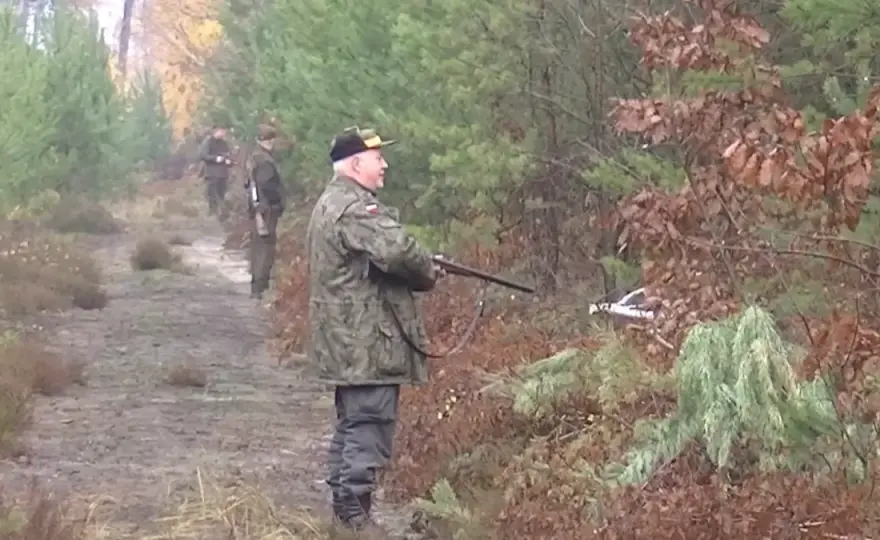 Czy myśliwy może wjechać do lasu? Wyjaśniamy przepisy