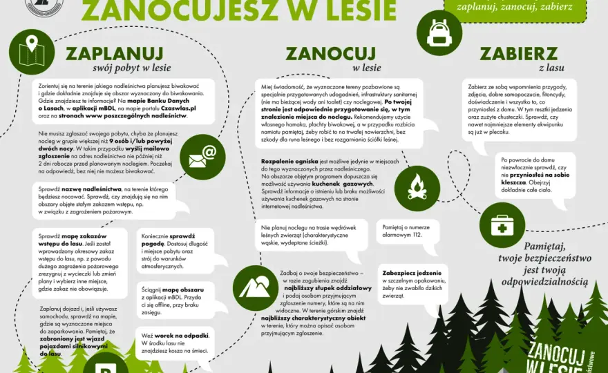 Jak rozpalić ognisko w lesie? Legalnie i bezpiecznie! (Poradnik)