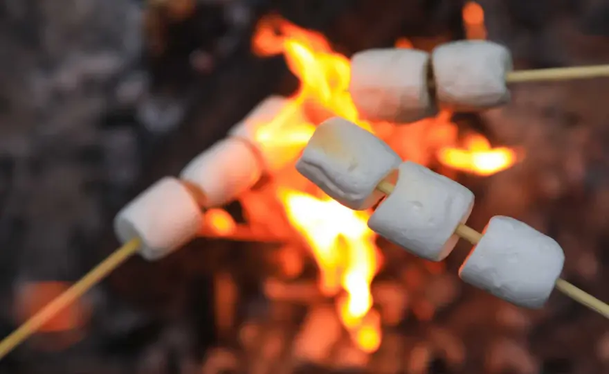Pianki na ognisko: Które wybrać, by piec je jak mistrz?