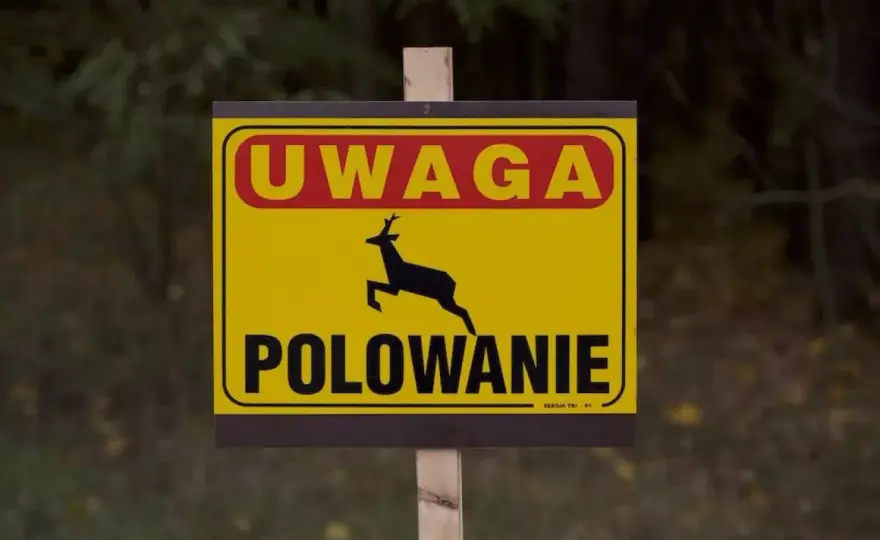 Myśliwy na Twojej ziemi? Sprawdź swoje prawa i obowiązki