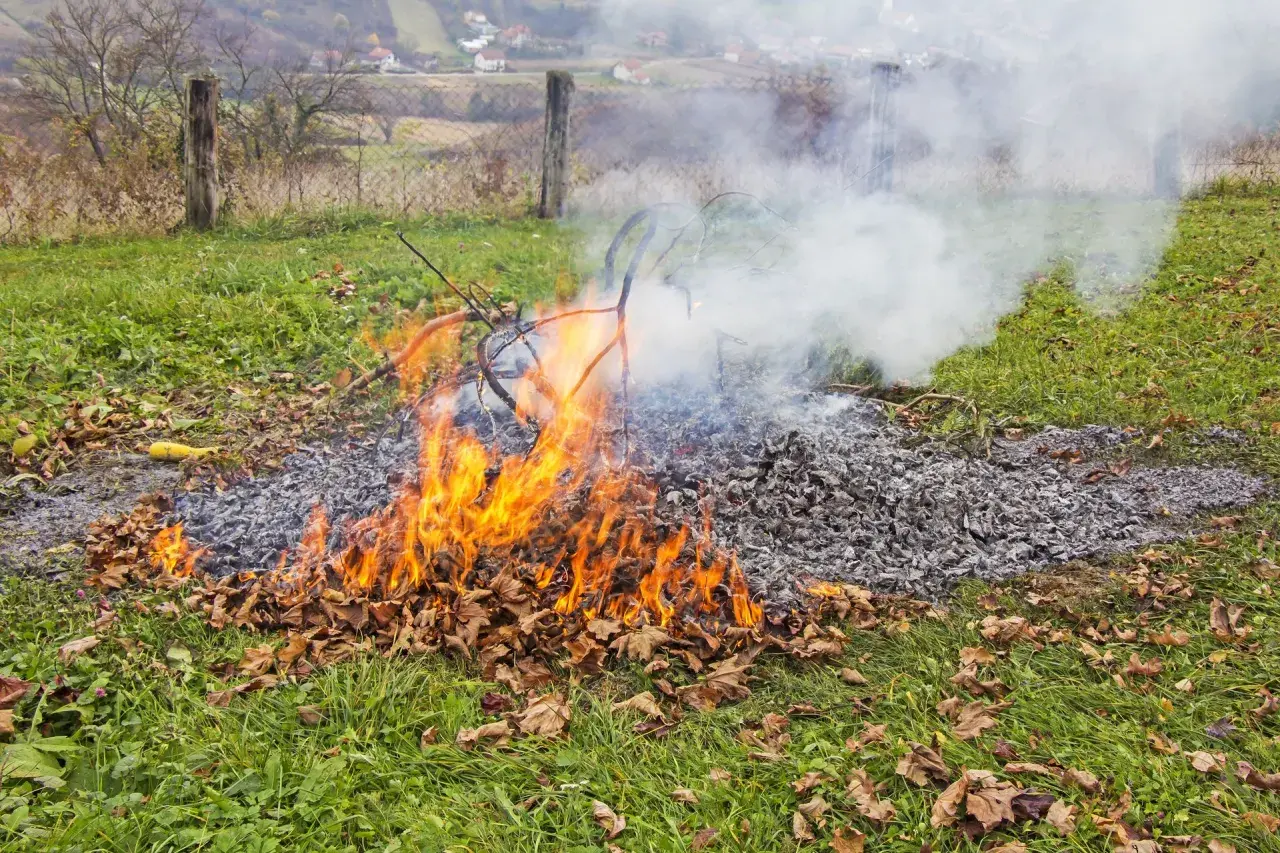 Ognisko w lesie: Gdzie wolno palić? Uniknij 30 000 zł kary