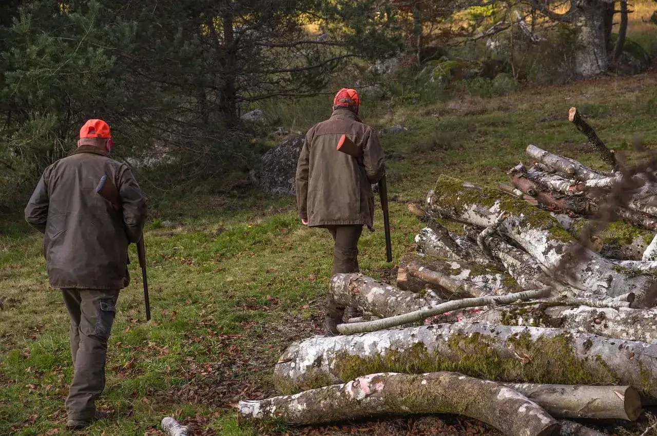 Dwóch myśliwych w pomarańczowych czapkach, z bronią, idzie przez las. To pokazuje, dlaczego myśliwi polują - dla tradycji i kontaktu z naturą.