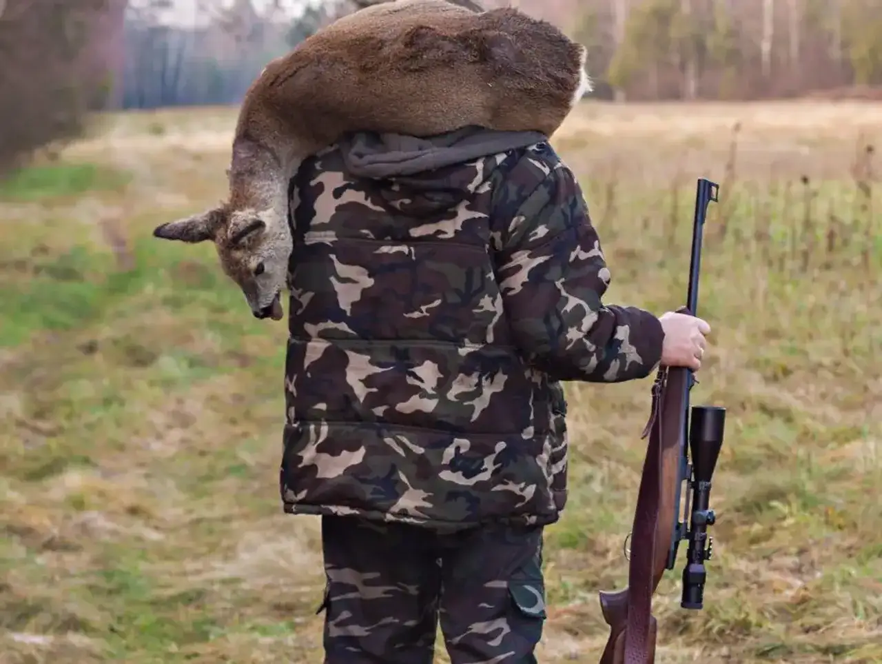 Myśliwy w kamuflażu niesie na ramieniu upolowaną sarnę, trzymając karabin. Czy wyrzucony z koła może znowu polować?