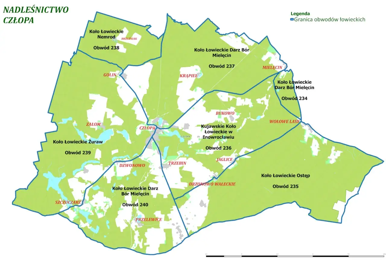 Mapa Nadleśnictwa Człopa z zaznaczonymi obwodami łowieckimi, gdzie myśliwy może polować. Widoczne nazwy kół łowieckich i miejscowości.