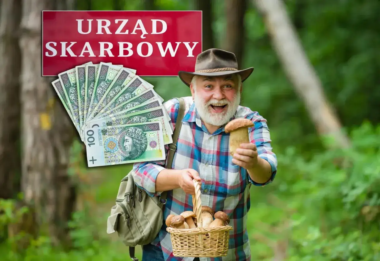 Szczęśliwy grzybiarz z koszykiem pełnym borowików i stertą banknotów, jak w przenośni zagorzały myśliwy, pod znakiem Urzędu Skarbowego.