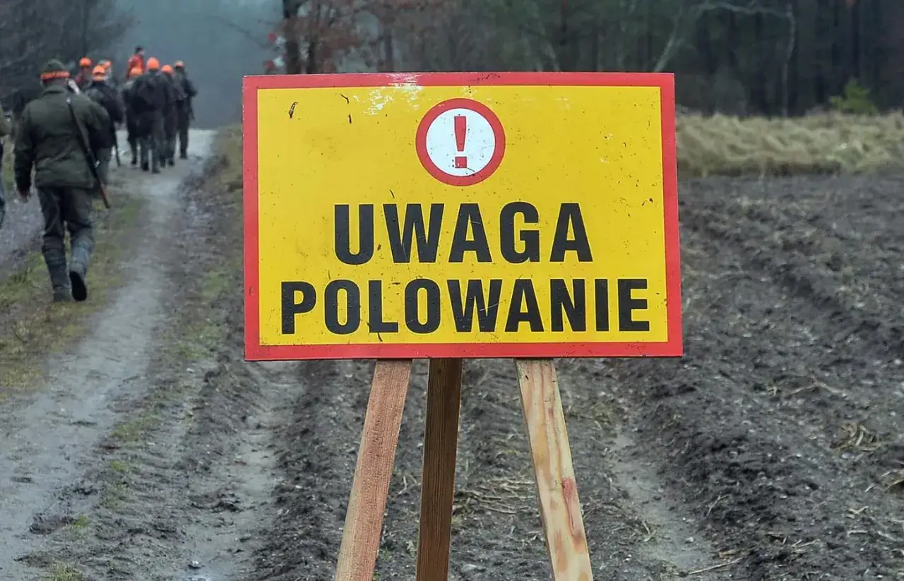 Żółty znak