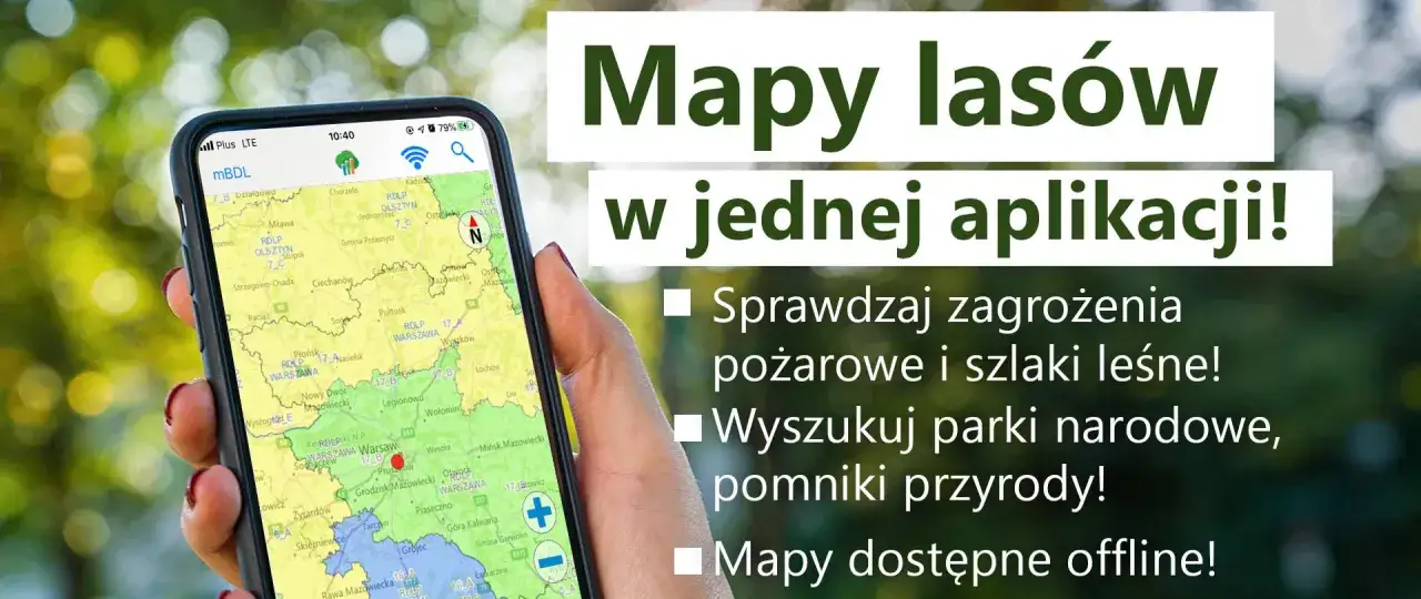 Smartfon z mapą w lesie