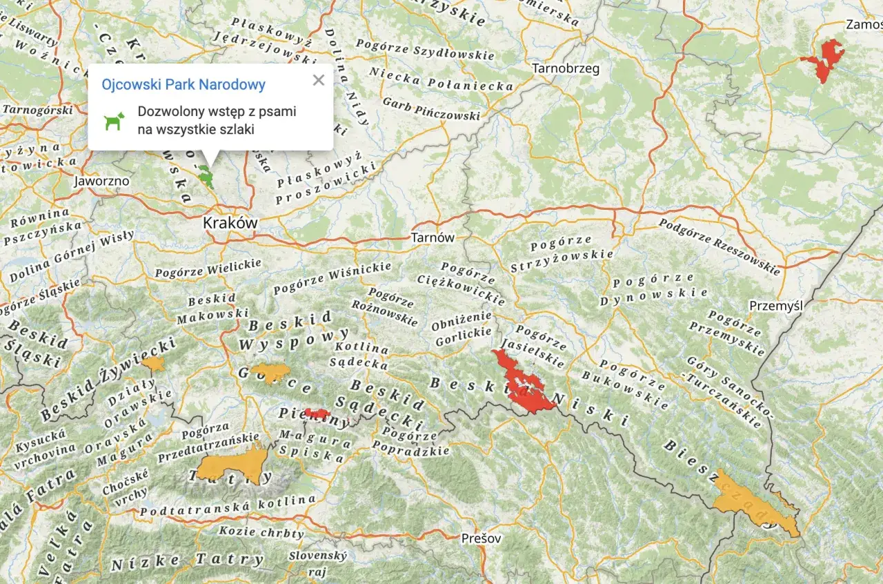 pies przygotowanie do wędrówki górskiej