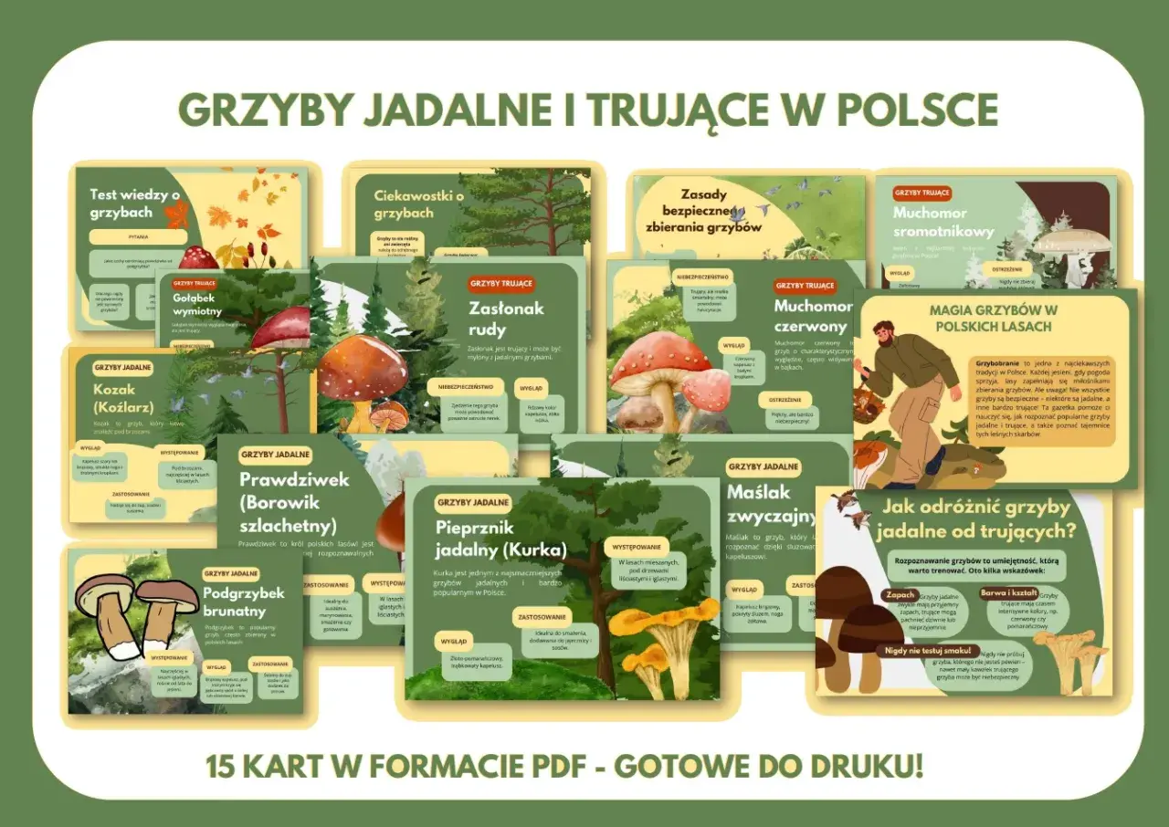 Niezbędnik grzybiarza survivalowego